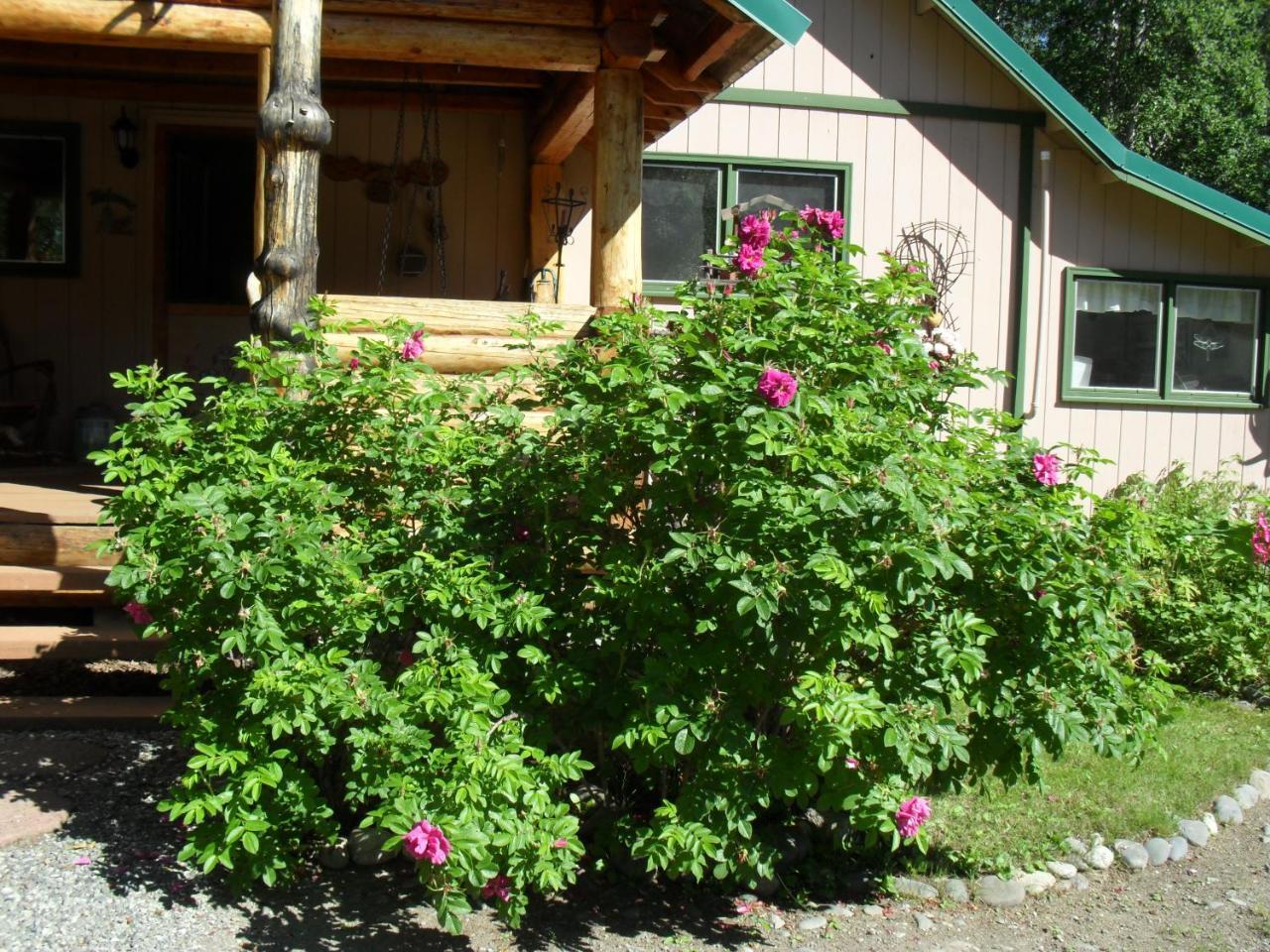 Alaska'S Northland Inn Trapper Creek ภายนอก รูปภาพ